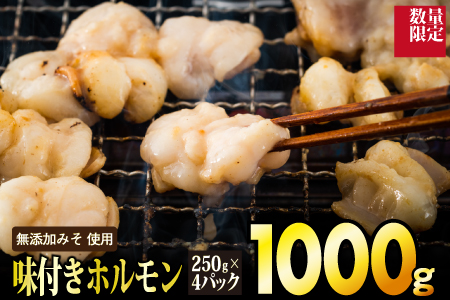 1,000g 味付ホルモン D-520