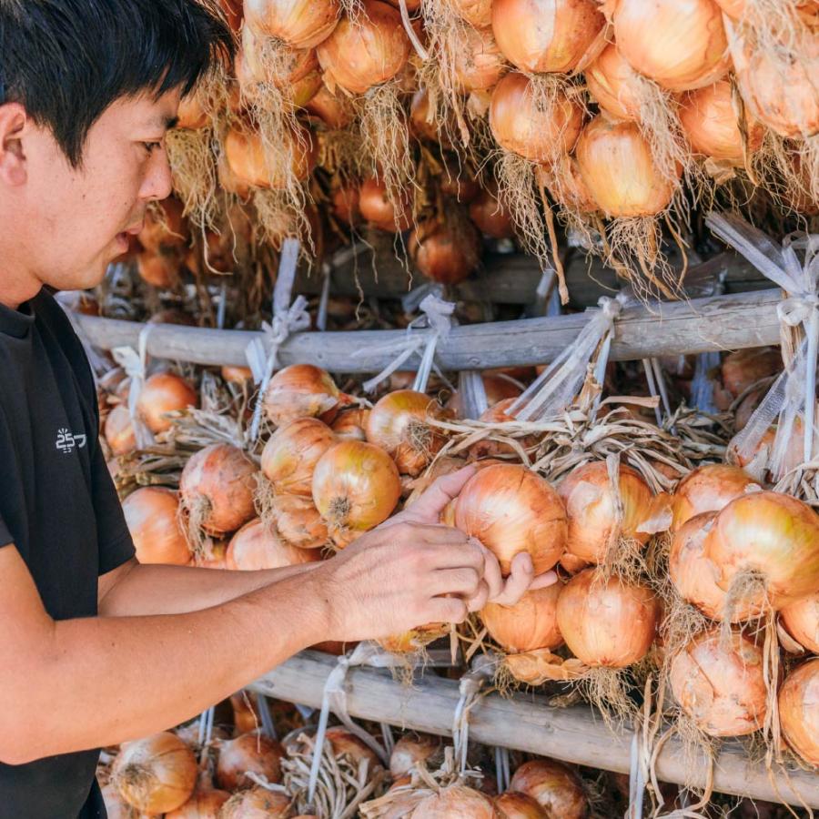 蜜玉(みつたま)3kg※包装及びのし掛け不可※発送までに最長10日ほどお時間を頂く場合がございます。