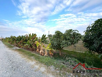 錯過不再｜近路竹交流道臨路大面寬非都農地｜高雄市路竹區營前段