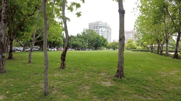 降～投資價好貸~大勇國小旁✨面公園✨採光3房+車位｜台中市南區忠明南路