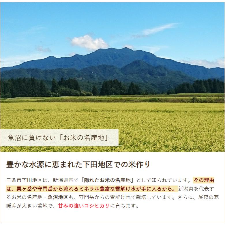 特別栽培米（無農薬・無化学肥料）下田産コシヒカリ「白雪美人」（従来品種）精米5kg えちご山農会 送料無料