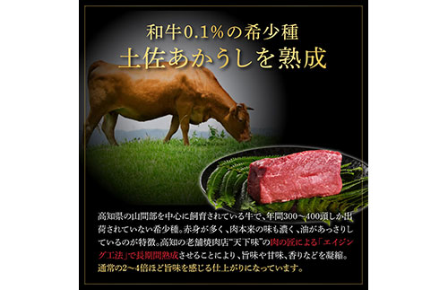 天下味 エイジング工法 熟成肉 土佐あかうし 特選ヒレ 牛 サイコロステーキ 500g×2 合計1kg エイジングビーフ ヒレ フィレ 国産 あか牛 赤牛 肉 牛肉 和牛 人気老舗焼肉店 冷凍 新鮮 真空パック 高知 高知県 芸西村 故郷納税 154000円 返礼品 贈答品 ギフト