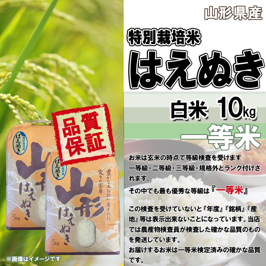 令和5年産 新米 送料無料 山形県産 特別栽培米 はえぬき 白米 5kg×2 十キロ お米 おこめ 白米 はくまい 10kg