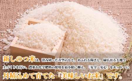 北海道 定期便 6ヵ月 連続 全6回 R5年産 北海道産 ななつぼし 10kg 2袋 計20kg 精米 米 白米 ごはん お米 新米 ライス 特A 獲得 北海道米 ブランド米 道産 ご飯 お取り寄せ 食味ランキング 半年 まとめ買い 新しのつ米 令和5年産 送料無料