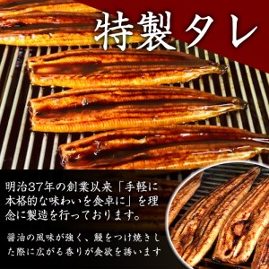 1633 鹿児島県大隅産うなぎ蒲焼5尾（750ｇ）