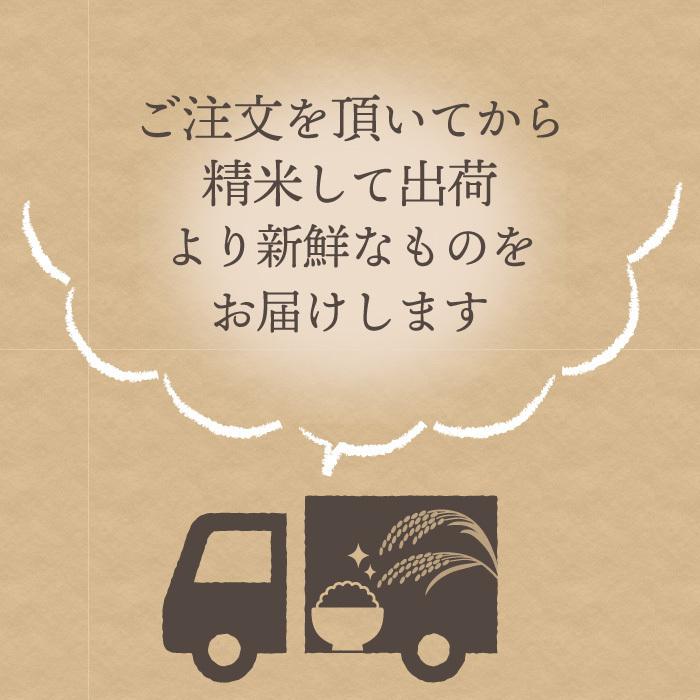 無洗米 新潟県産 コシヒカリ 特別栽培米 10kg 令和5年産 新米 こしひかり 10キロ 農家直送 減農薬