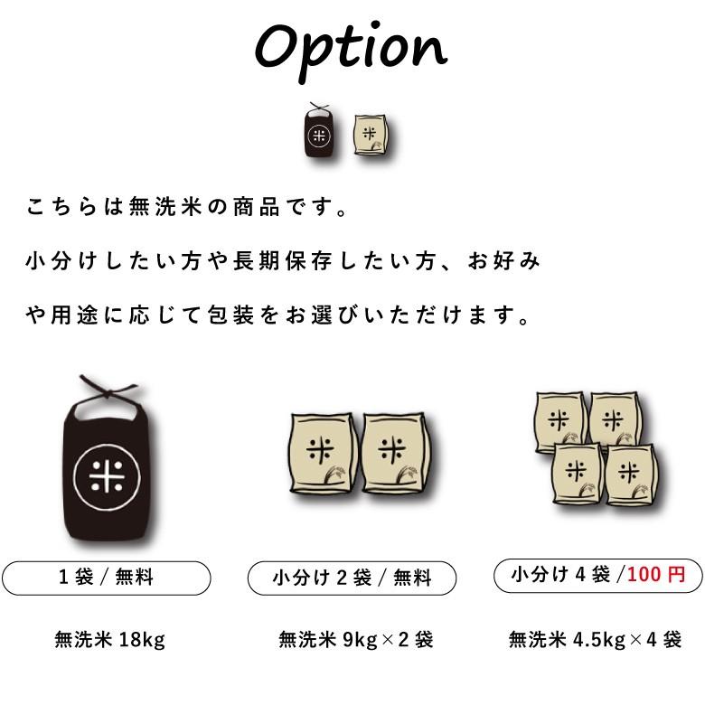 新米 米 お米 18kg ちょっぴりセレブなヒノヒカリ 無洗米 国内産 令和5年産 20kg ひのひかり