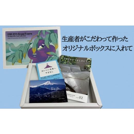 ふるさと納税 山梨県 都留市 山梨県都留市産 朝採れ シャインマスカット 2〜3房（約1.0kg）｜ 生産者厳選 贈答 山梨 やまなし 山梨県産 葡…