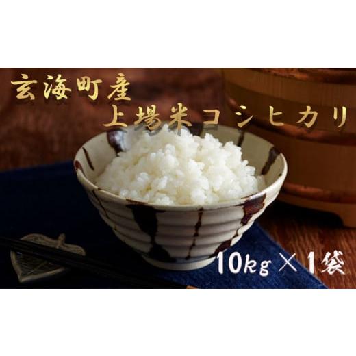 ふるさと納税 佐賀県 玄海町 佐賀県玄海町産こしひかり 上場米 10kg