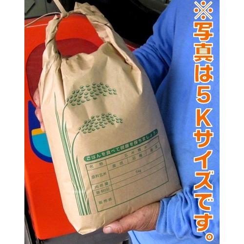 大分県産 ひのひかり 30kg 白米・玄米をご選択下さい 送料無料セール