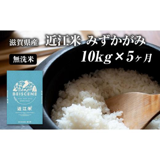 ふるさと納税 滋賀県 豊郷町 令和5年産新米　滋賀県豊郷町産　近江米 みずかがみ　無洗米　10kg×5ヶ月