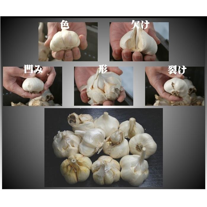 (産直) にんにく 青森県産 こちらは生産者直送のニンニクです Mサイズ以上混合玉 送料無料 10kg 訳あり 黒にんにく用 ニンニク 業務用