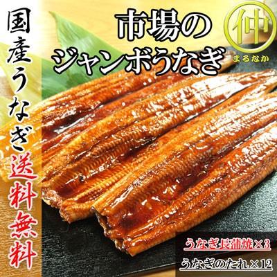 市場のジャンボうなぎ（うなぎ長蒲焼約200ｇ×3）   国産　土用の丑の日　送料無料 うなぎ