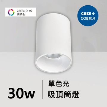 全光譜30W吸頂筒燈｜QC-30251W-CREE芯片