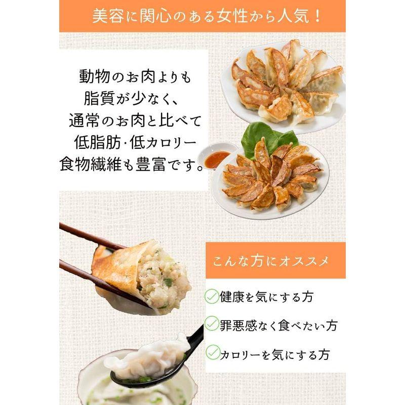 大豆ミート 餃子 soy meat gyoza 120個入り(40個入り×3セット)