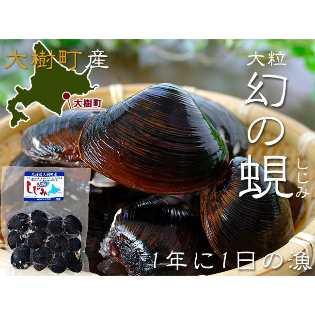 まぼろしのしじみ 300g (北海道大樹町産幻の蜆)大粒のシジミ(ヤマトシジミ)日本最大級の大きさ