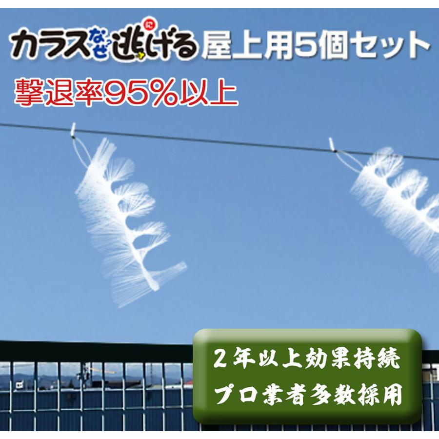 カラスなぜ逃げる? 屋上用5個セット 撃退率95％以上 便利グッズ カラス 撃退 カラス対策 屋上 ベランダ ゴミ置き場