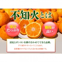 完熟 不知火(デコ) 約10kg S～2L 家庭用 サイズ混合 横川果樹園 《3月中旬-4月末頃より順次出荷》 和歌山県 日高川町 不知火 みかん 果物 柑橘 フルーツ 送料無料