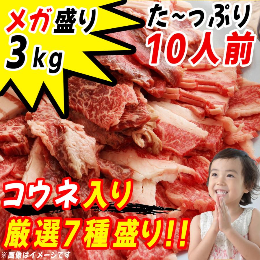 メガ盛り 焼肉セット 3kg コウネ カルビ ホルモン 鶏肉 特選 焼肉 ビールのお供 