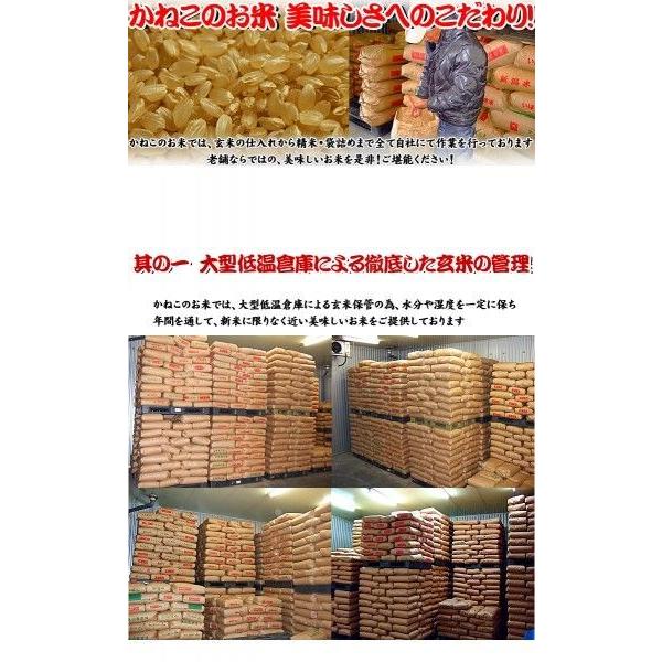 新米 2kg つや姫 米 令和5年産 山形県産 白米 内のし対応 贈り物