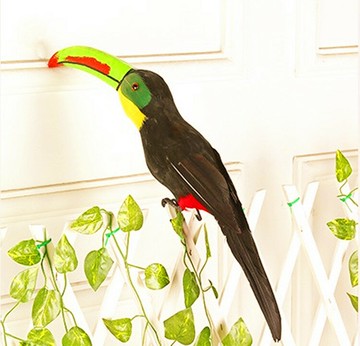 定做仿真動物 犀鳥長嘴鳥 巨嘴鳥 仿真小鳥 攝影道具 教學模型
