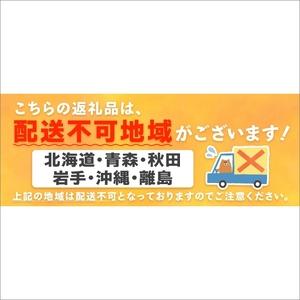 ふるさと納税 斎藤農園のアールスメロン(マスクメロン)2玉3kg程度≪先行予約2024年6月下旬以降発送分≫ 和歌山県御坊市