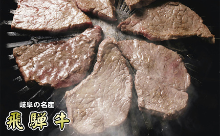 牛肉 飛騨牛 焼き肉 セット 赤身 モモ 又は カタ 600g 黒毛和牛 A5 美味しい お肉 牛 肉 和牛 焼肉 BBQ バーベキュー  