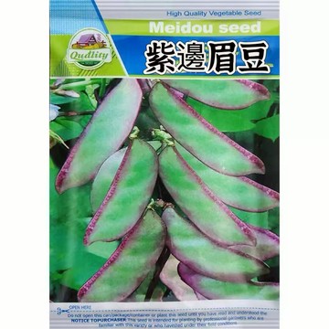 【懷舊古早味】紫邊眉豆種子｜原生種 豆香濃郁｜煮湯燉肉 媽媽的味道｜陽台攀藤 好種好看｜附簡易播種法 新手可收成｜現貨