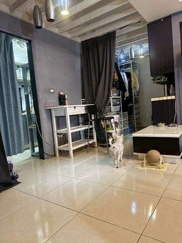 卓悅聯盟家誠中港靜巷稀有・電梯方正兩房玄關｜新北市新莊區中港路