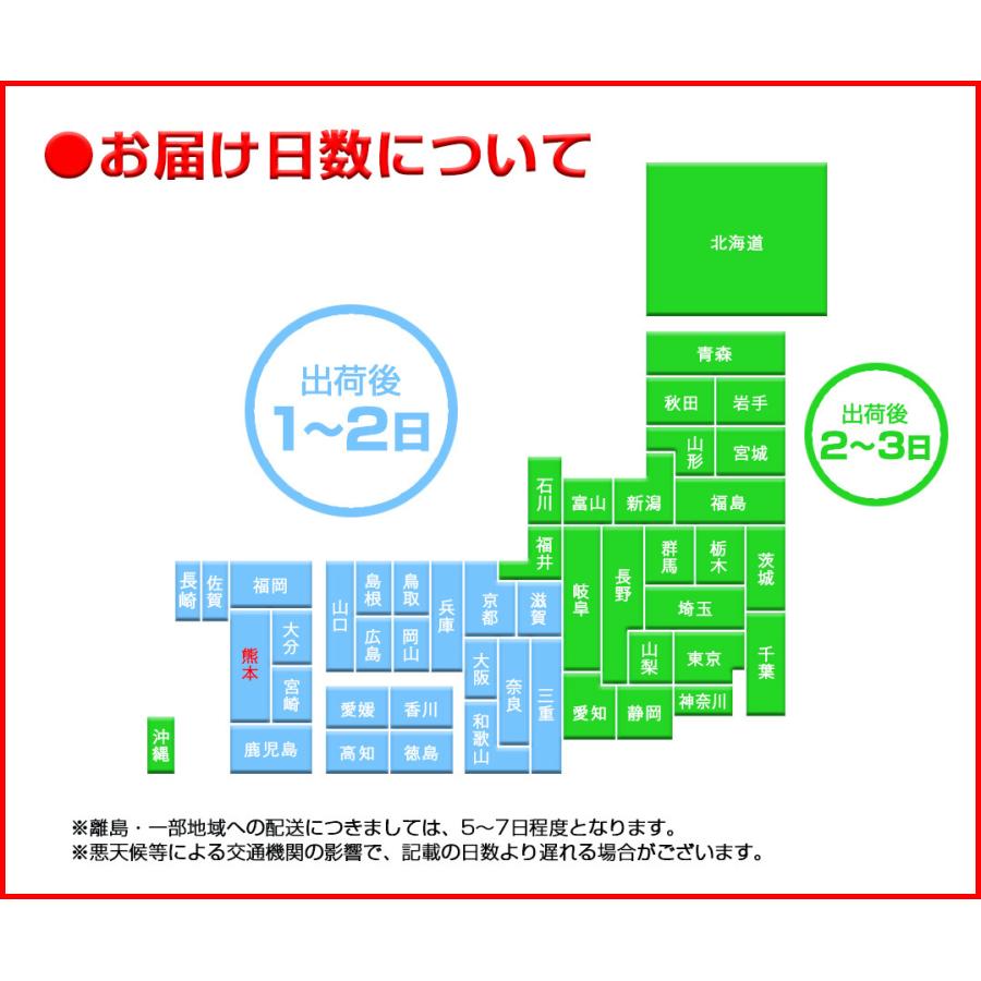 御中元 九州  メロン アールスメロン 秀品 ２L ２玉 熊本県産 温室 送料無料 高級メロン 産直 フルーツ 果物 甘い S常