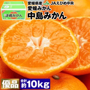 みかん 10kg 愛媛県産 中島みかん S M Lサイズ 優品 愛媛みかん JAえひめ中央 常温便 同梱不可 指定日不可