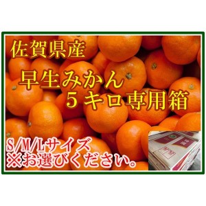 [予約 12月1日-12月20日の納品] みかん S M L  5kg 佐賀県 熊本県産ほか 早生