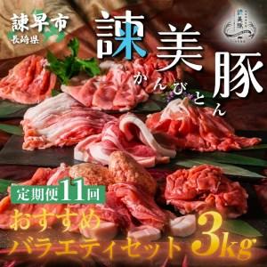 ふるさと納税 『定期便』_諫美豚(かんびとん)おすすめバラエティセット3kg_全11回 長崎県諫早市