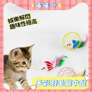 貓咪玩具 逗貓 玩具 逗貓玩具多彩羽毛籠中鼠 貓咪老鼠玩具 貓 逗貓老鼠 貓咪最愛 耐抓耐咬 安全放心