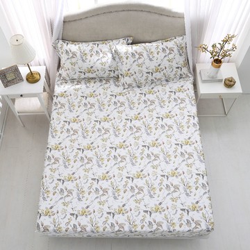 單人床包枕套組/ 天絲棉300織 / 索妮雅 [鴻宇] 台灣製 - 2329