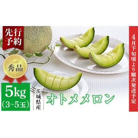 ふるさと納税 082-2茨城県産オトメメロン約5kg（3~5玉） 茨城県茨城町