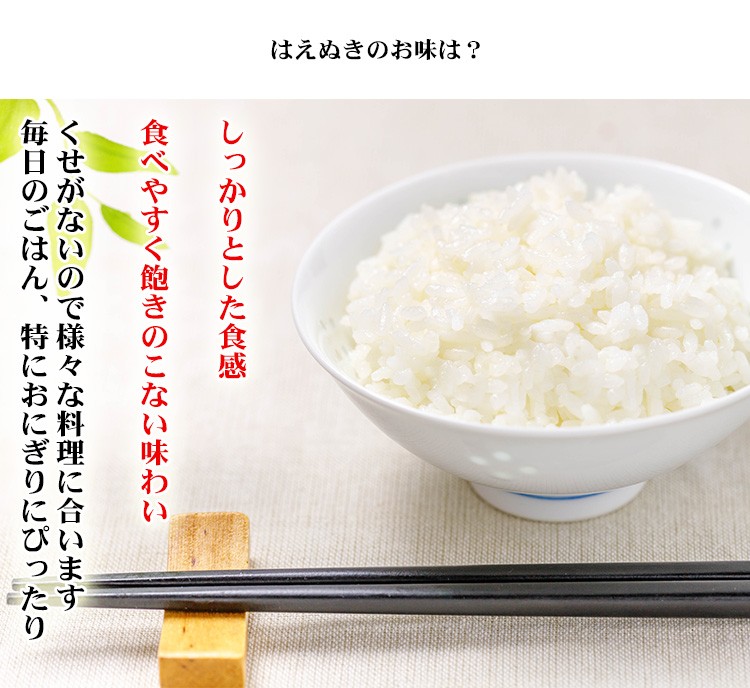 新米 米 白米 20kg 送料無料 はえぬき 5kg×4袋 山形県産 令和5年産 はえぬき 白米 お米 20キロ 安い 送料無料