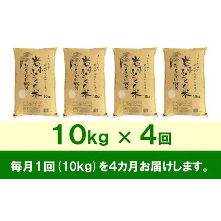 ふるさと納税 3人に1人がリピーター!☆全4回定期便☆ 岩手ふるさと米 10kg×4ヶ月 令和5年産 新米 一等米ひとめぼれ 東北有数のお米の産地 .. 岩手県奥州市