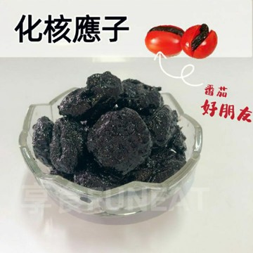 【享食FUN EAT】化核應子（現貨/古早味/蜜餞/零食/伴手禮/梅子/李子/夜市番茄夾梅子/送禮/美食/食品/出遊）
