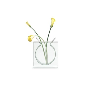 美國 MoMA 絲帶花瓶簡約插花花器 透明玻璃金屬 現代風擺件裝飾