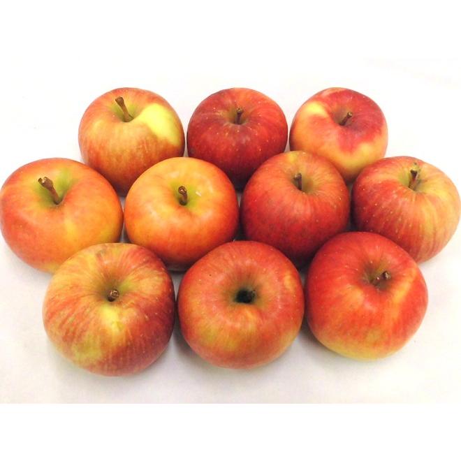 りんご 青森県 蜜だらけりんご ”こみつ” 訳あり 大きさおまかせ 約2kg こうとくりんご 送料無料
