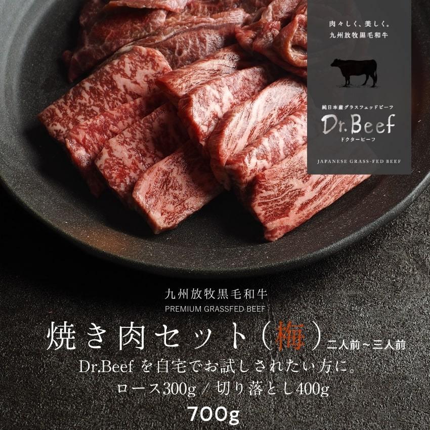 焼肉2種セット 合計700g(ロース150g×2 切り落とし200g×2) 純日本産 グラスフェッドビーフ 国産 黒毛和牛 赤身 牛肉 焼き肉 お歳暮 ギフト 送料無料