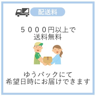 小柴胡湯１０日分(１０包)煎じ薬 かぜ後期の諸症状、食欲不振、吐き気