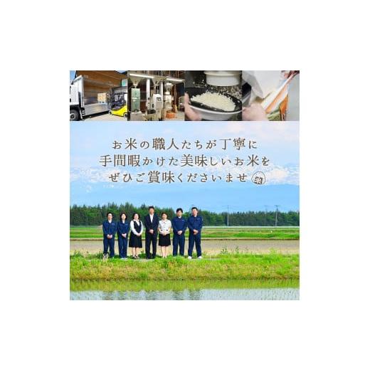 ふるさと納税 山形県 鶴岡市 令和5年産 はえぬき 無洗米 5kg×1袋　山形県庄内産　有限会社 阿部ベイコク