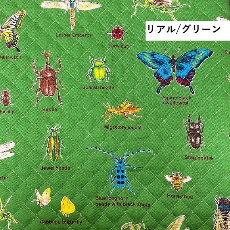 昆虫レッスンバッグ カブト虫 クワガタ カマキリ キルティング