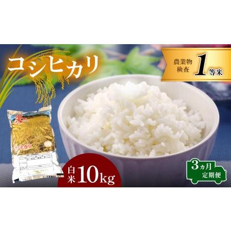 ふるさと納税 お米 コシヒカリ 白米 3回定期 10kg×3回 栃木県真岡市