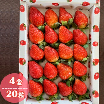 鮮果爺爺 苗栗壢西坪精裝20粒帝王紅草莓禮盒x4盒(360g/盒_產銷履歷驗證)
