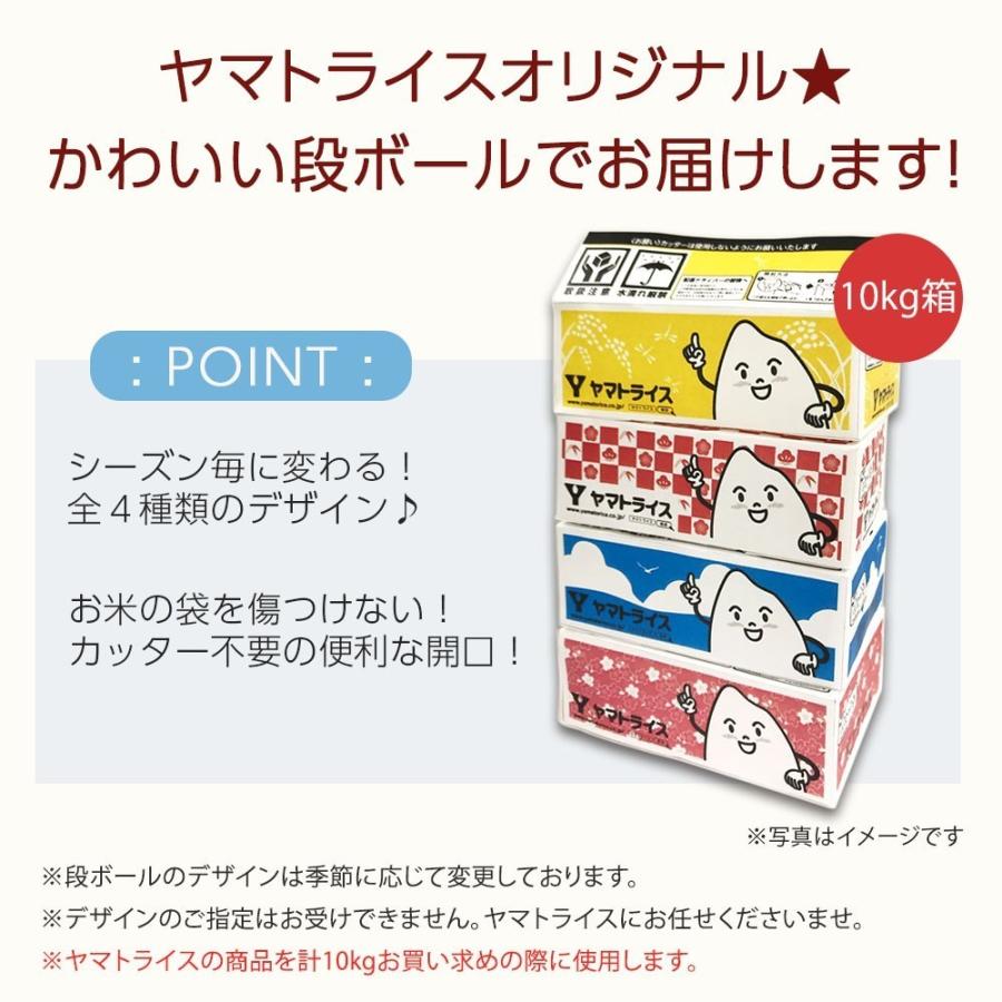 仁多米 コシヒカリ 10kg 5kg×2袋 島根県産 令和5年産 米 お米 白米 うるち米 精白米 ごはん