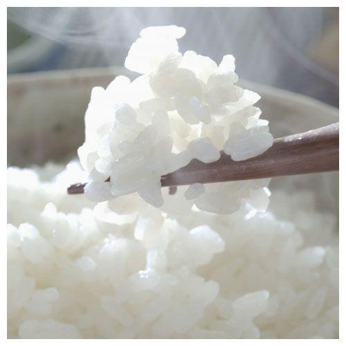 新米!! 令和5年産 米 10kg 特別栽培米 コシヒカリ 茨城県産 黄門米
