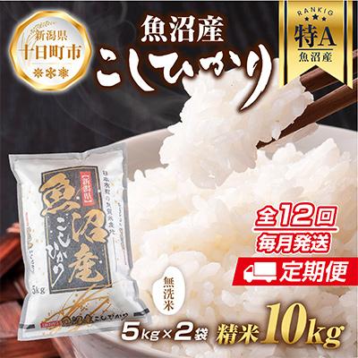 ふるさと納税 十日町市 [無洗米] 魚沼産 コシヒカリ 10kg 精米  (お米の炊き方ガイド付) 全12回